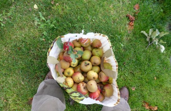 Pommes, poires et cie