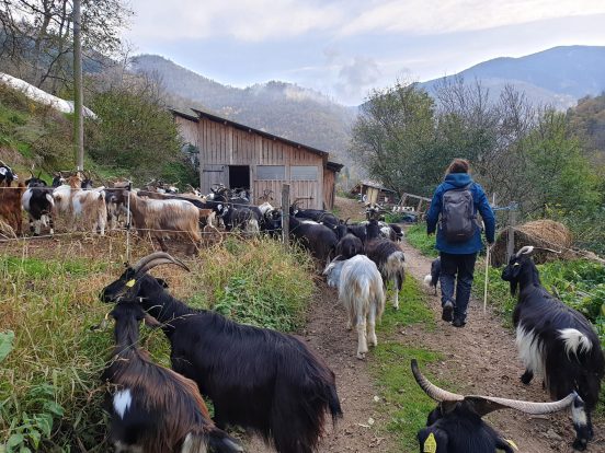 Fromagère Poc a poc