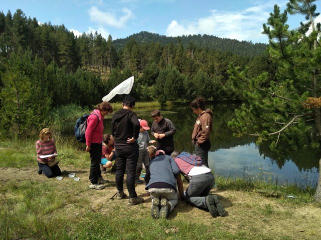 Le groupe découvrant les richesses des abords du lac de Caudies © PNRPC