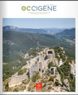 OccigeneN3