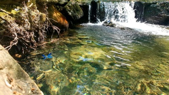 Préserver la ressource EAU