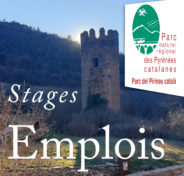 emploi-stagebandeau-hau
