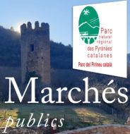 marches-public-carré