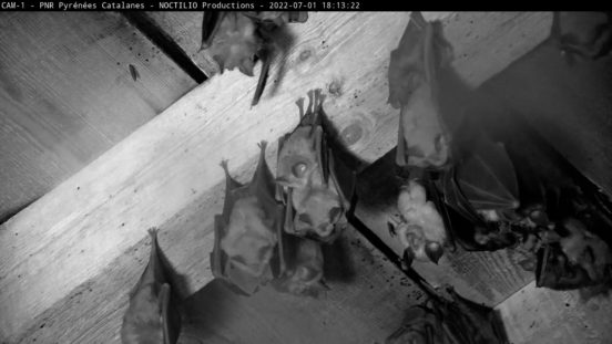 snapshot_2022_07_01_17_31_49