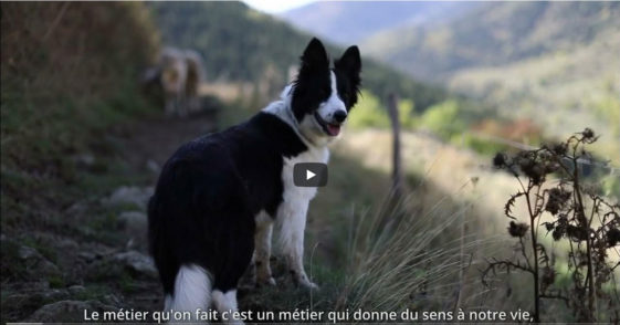 videoùantet