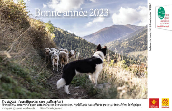 2023_carte-de-VoeuxWeb_PNRPC