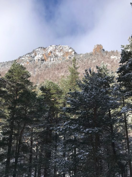 Les propriétaires forestiers de Cerdagne s'organisent