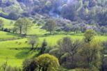 paysage-agroforestier-dans-le-parc-naturel-regional-normandie-maine-f-massias