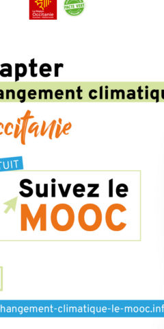 sans-titre-1-11