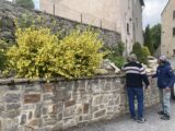 Formation fleurissement durable en montagne