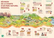 poster-frise-illustree-revision-2024