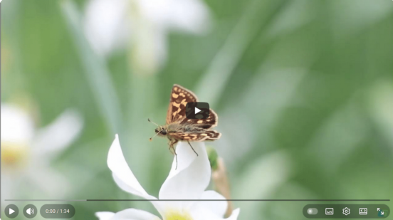 Capture d'écran 2025-12-16 154532