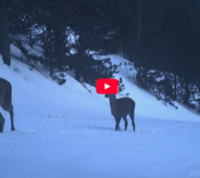 capture-decran-2026-01-05-142127