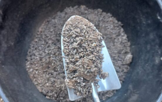 Distribution de guano pour booster vos plantations