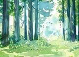 image questionnaire forêt