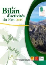 Bilan d'activité